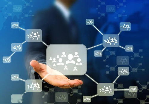 人口流失与技术变革 30万临时居民撤离与人工智能应用软件开发的交织影响